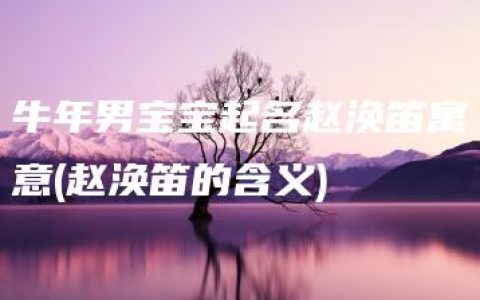 牛年男宝宝起名赵涣笛寓意(赵涣笛的含义)