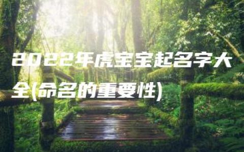 2022年虎宝宝起名字大全(命名的重要性)