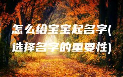 怎么给宝宝起名字(选择名字的重要性)