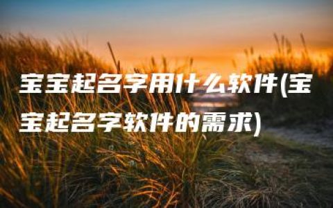 宝宝起名字用什么软件(宝宝起名字软件的需求)