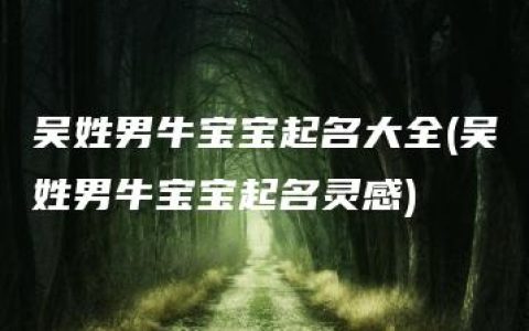 吴姓男牛宝宝起名大全(吴姓男牛宝宝起名灵感)