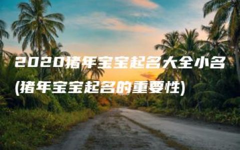 2020猪年宝宝起名大全小名(猪年宝宝起名的重要性)