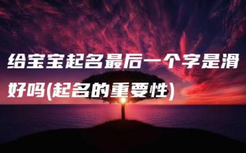 给宝宝起名最后一个字是滑好吗(起名的重要性)