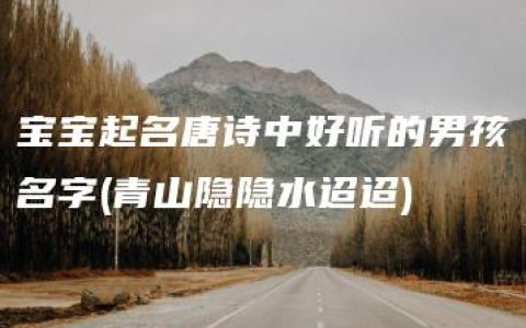 宝宝起名唐诗中好听的男孩名字(青山隐隐水迢迢)