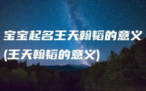 宝宝起名王天翰韬的意义(王天翰韬的意义)