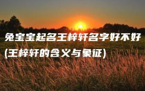 兔宝宝起名王梓轩名字好不好(王梓轩的含义与象征)