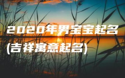 2020年男宝宝起名(吉祥寓意起名)