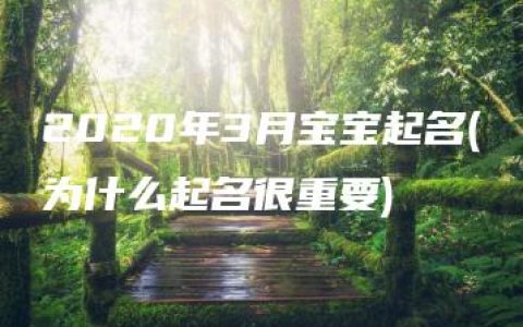 2020年3月宝宝起名(为什么起名很重要)