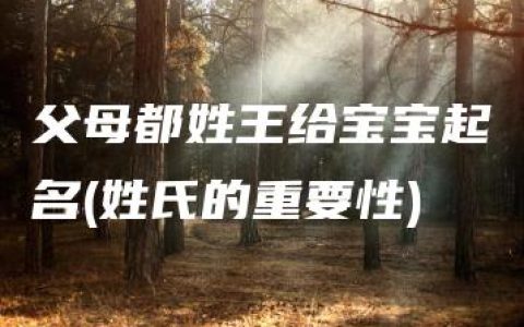 父母都姓王给宝宝起名(姓氏的重要性)