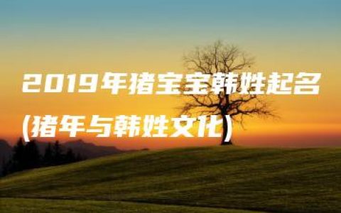 2019年猪宝宝韩姓起名(猪年与韩姓文化)