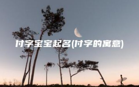 付字宝宝起名(付字的寓意)