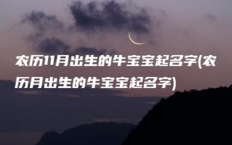 农历11月出生的牛宝宝起名字(农历月出生的牛宝宝起名字)