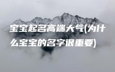 宝宝起名高端大气(为什么宝宝的名字很重要)