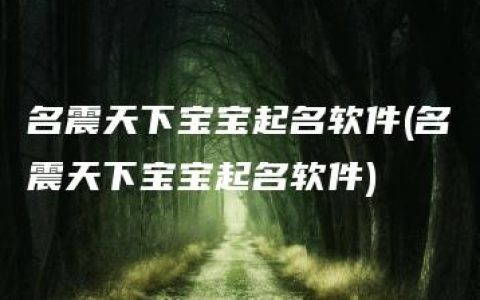 名震天下宝宝起名软件(名震天下宝宝起名软件)