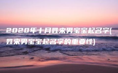 2020年十月姓宋男宝宝起名字(姓宋男宝宝起名字的重要性)