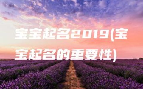 宝宝起名2019(宝宝起名的重要性)