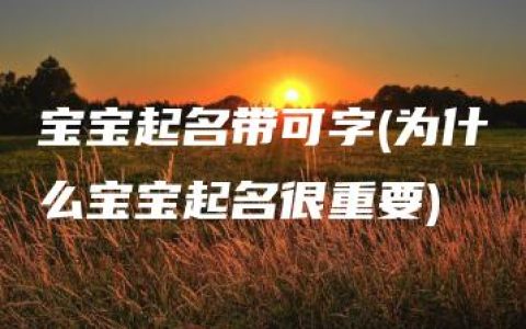 宝宝起名带可字(为什么宝宝起名很重要)