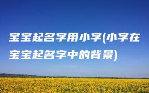 宝宝起名字用小字(小字在宝宝起名字中的背景)