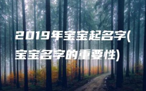 2019年宝宝起名字(宝宝名字的重要性)