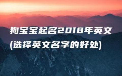 狗宝宝起名2018年英文(选择英文名字的好处)