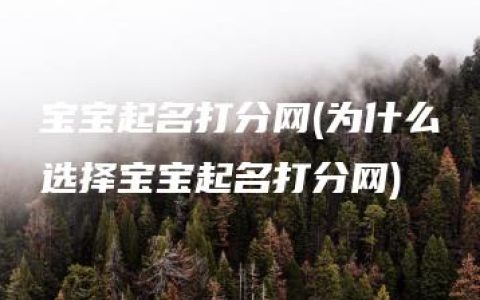 宝宝起名打分网(为什么选择宝宝起名打分网)