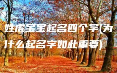 姓虎宝宝起名四个字(为什么起名字如此重要)