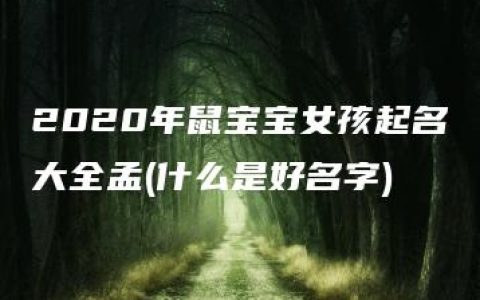 2020年鼠宝宝女孩起名大全孟(什么是好名字)