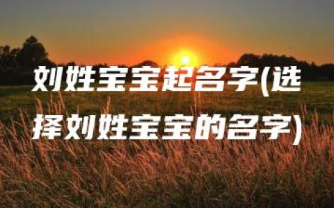 刘姓宝宝起名字(选择刘姓宝宝的名字)