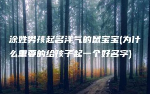 涂姓男孩起名洋气的鼠宝宝(为什么重要的给孩子起一个好名字)