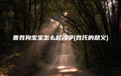 曹姓狗宝宝怎么起名字(姓氏的意义)