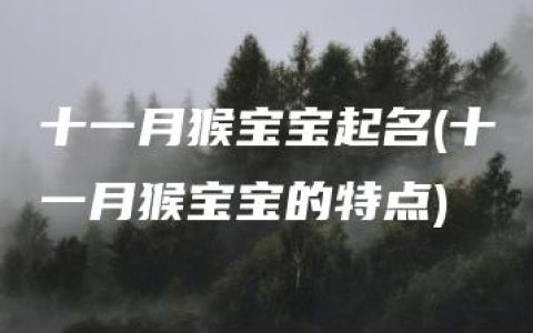 十一月猴宝宝起名(十一月猴宝宝的特点)