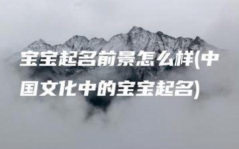 宝宝起名前景怎么样(中国文化中的宝宝起名)