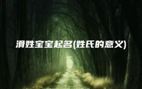 滑姓宝宝起名(姓氏的意义)