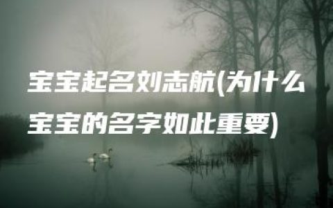 宝宝起名刘志航(为什么宝宝的名字如此重要)