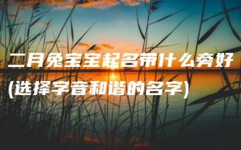 二月兔宝宝起名带什么旁好(选择字音和谐的名字)