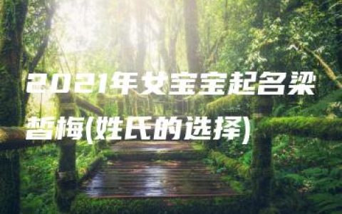 2021年女宝宝起名梁皙梅(姓氏的选择)