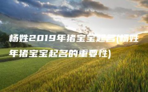 杨姓2019年猪宝宝起名(杨姓年猪宝宝起名的重要性)