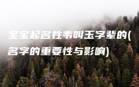 宝宝起名姓韦叫玉字辈的(名字的重要性与影响)