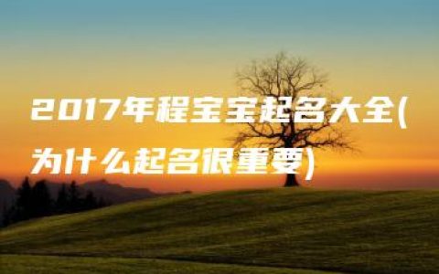 2017年程宝宝起名大全(为什么起名很重要)