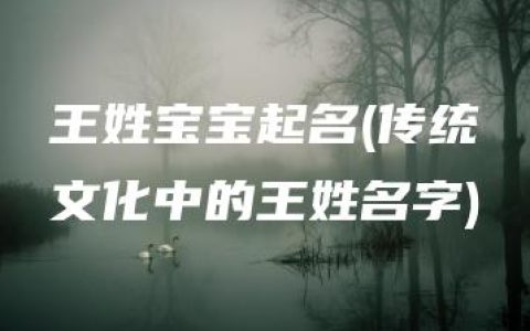 王姓宝宝起名(传统文化中的王姓名字)