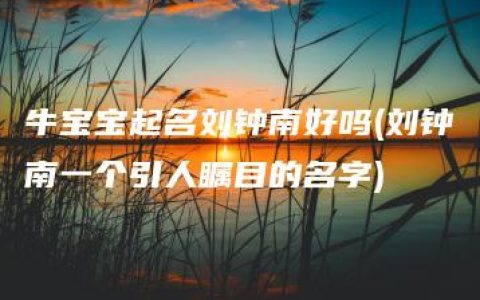 牛宝宝起名刘钟南好吗(刘钟南一个引人瞩目的名字)