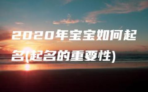 2020年宝宝如何起名(起名的重要性)