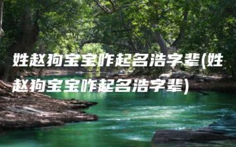 姓赵狗宝宝咋起名浩字辈(姓赵狗宝宝咋起名浩字辈)