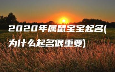 2020年属鼠宝宝起名(为什么起名很重要)