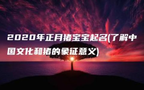 2020年正月猪宝宝起名(了解中国文化和猪的象征意义)