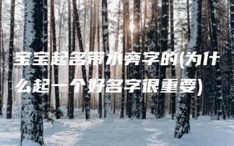 宝宝起名带水旁字的(为什么起一个好名字很重要)