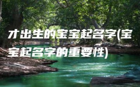 才出生的宝宝起名字(宝宝起名字的重要性)