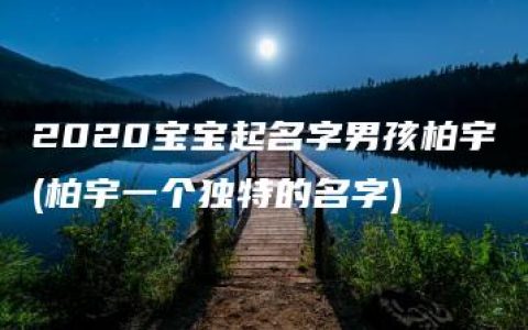 2020宝宝起名字男孩柏宇(柏宇一个独特的名字)