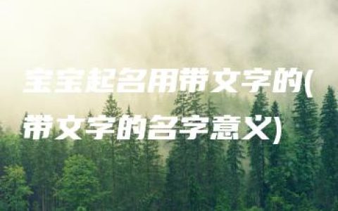 宝宝起名用带文字的(带文字的名字意义)