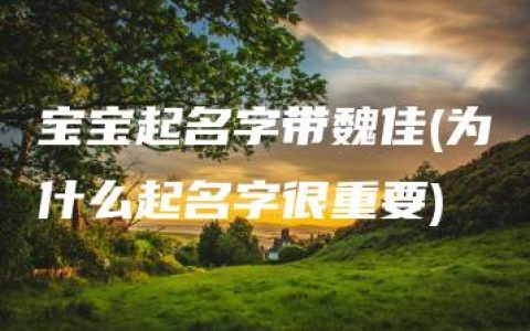 宝宝起名字带魏佳(为什么起名字很重要)